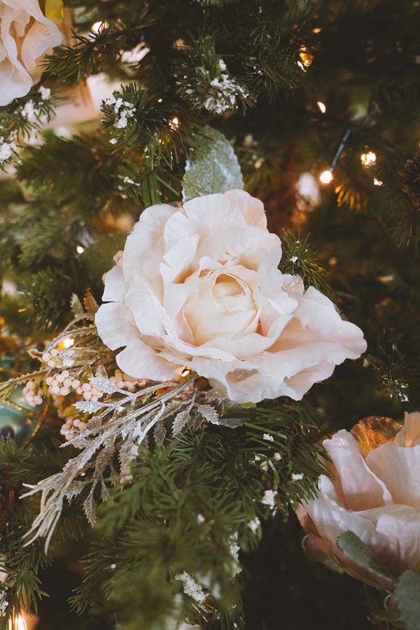 Pasqualin Fiori Natale 103
