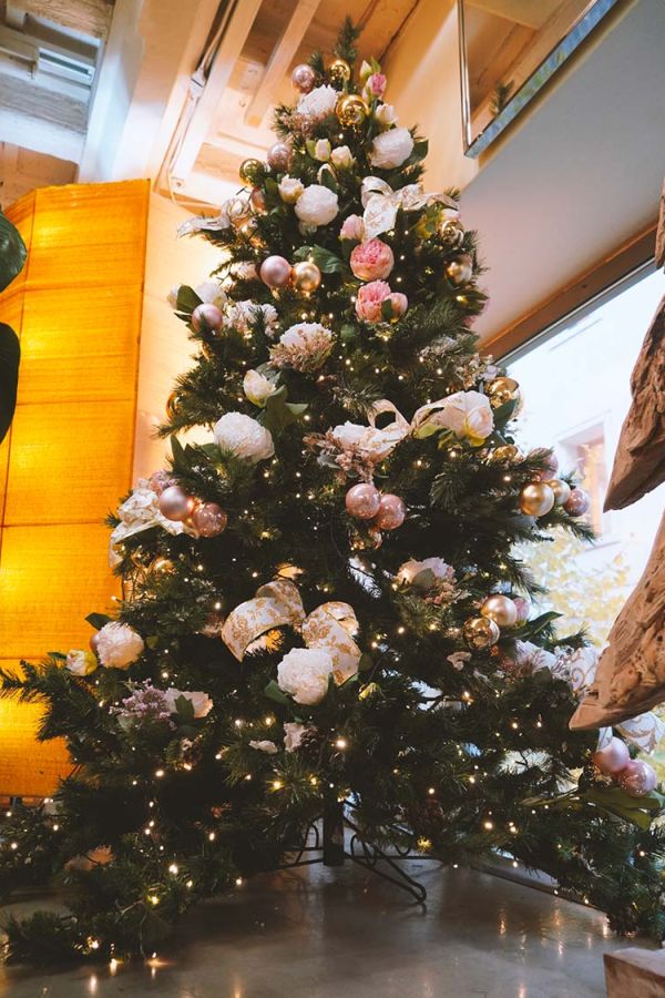 Pasqualin Fiori Natale 104