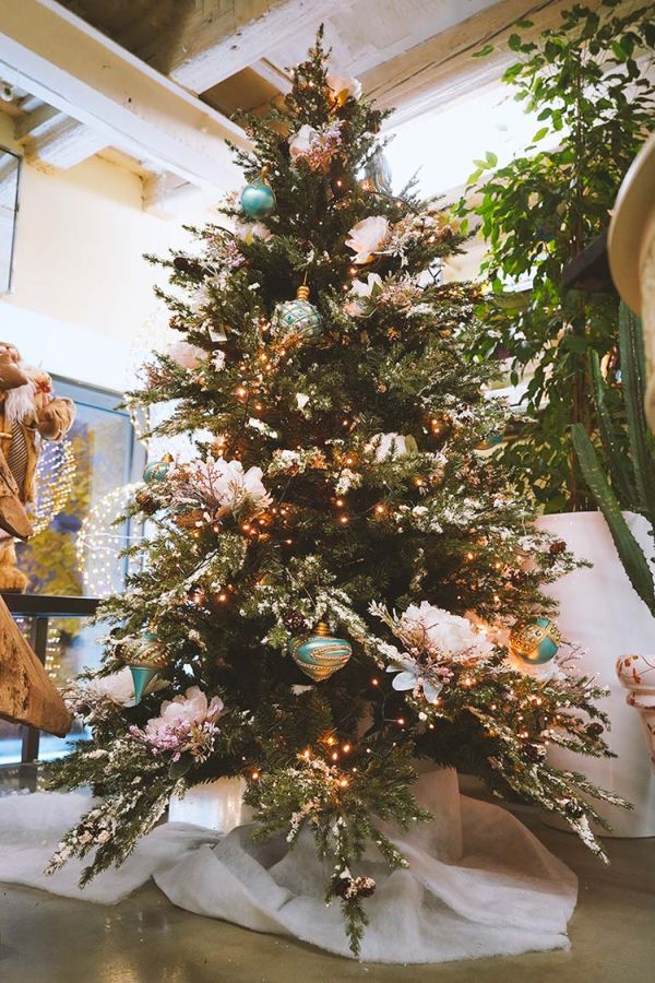 Pasqualin Fiori Natale 107
