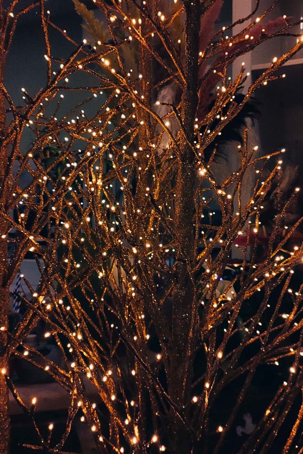 Pasqualin Fiori Natale 108