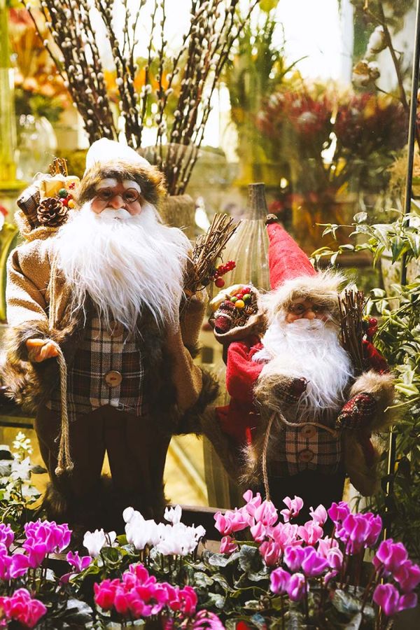 Pasqualin Fiori Natale 200