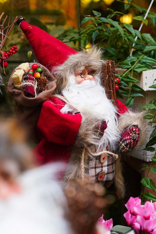 Pasqualin Fiori Natale 201