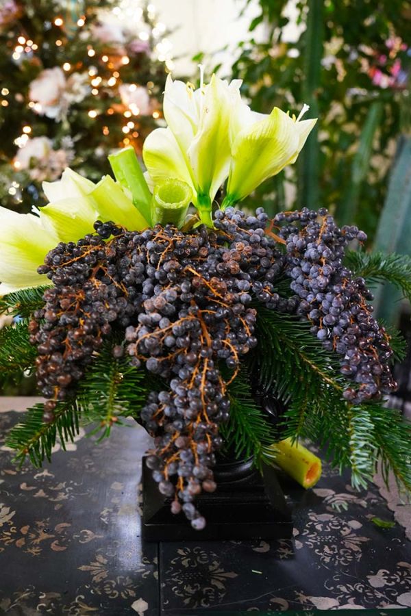Pasqualin Fiori Natale 303