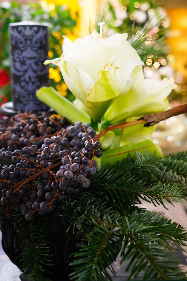Pasqualin Fiori Natale 305